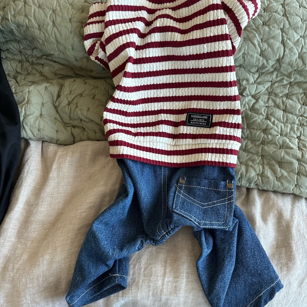 One piece Striped Red and White Dog Sweater & Denim Pants